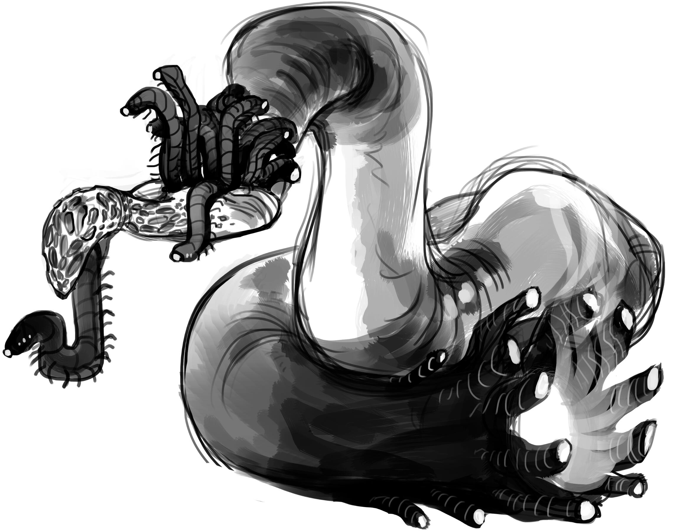 worm worm